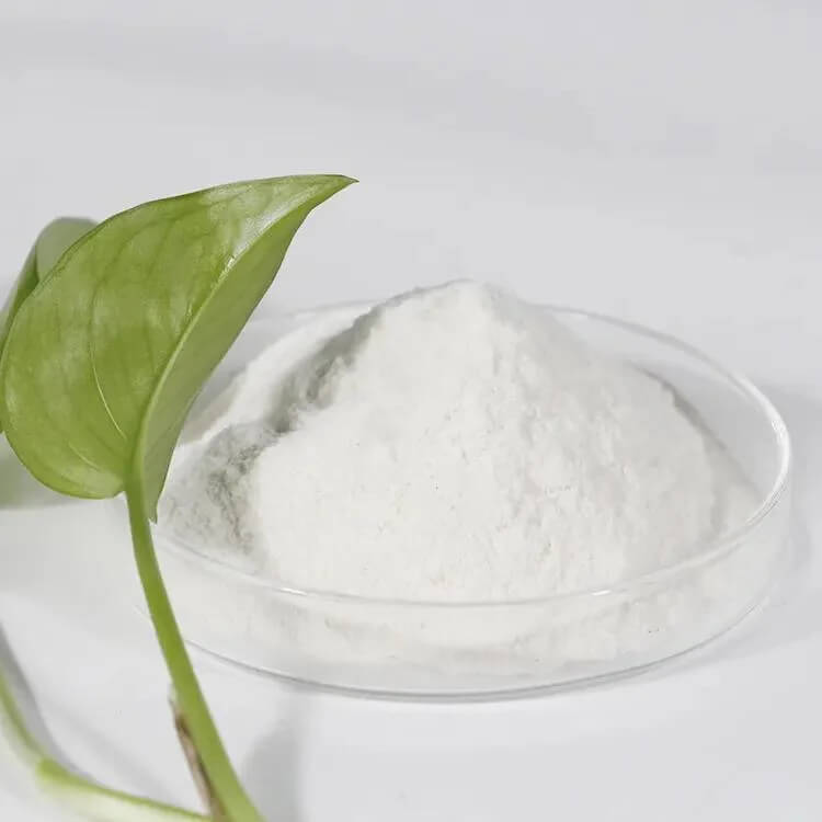 Carboxy Methyl Cellulose